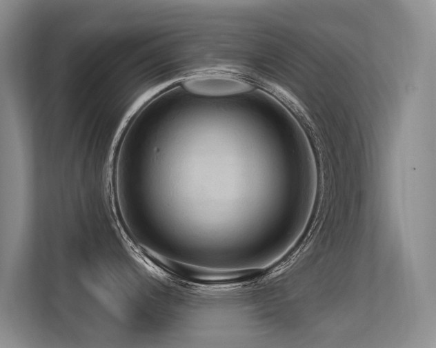 X0000113301200200909141240