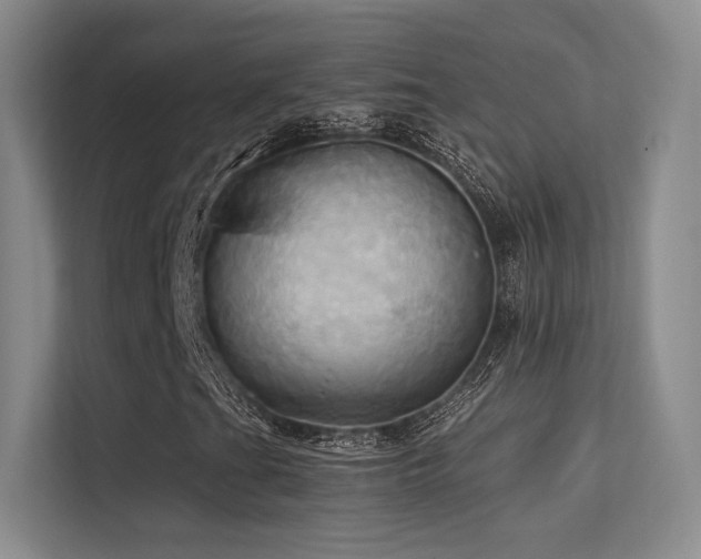 X0000113301201200909141240