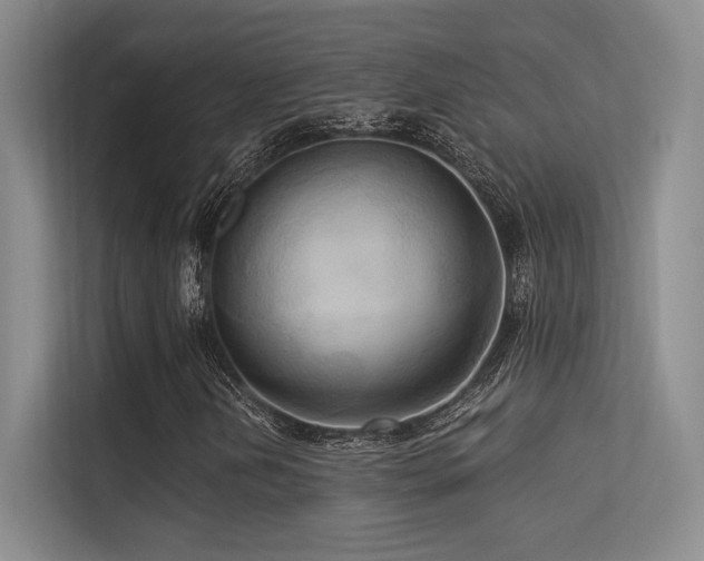 X0000113301202200909141240