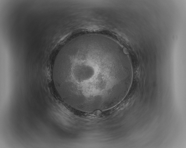 X0000113301205200909141240