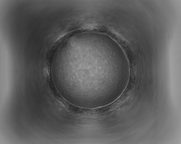 X0000113301206200909141240