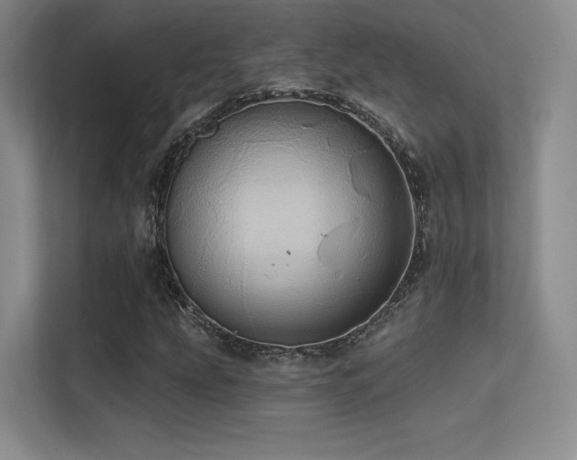 X0000113301207200909141240