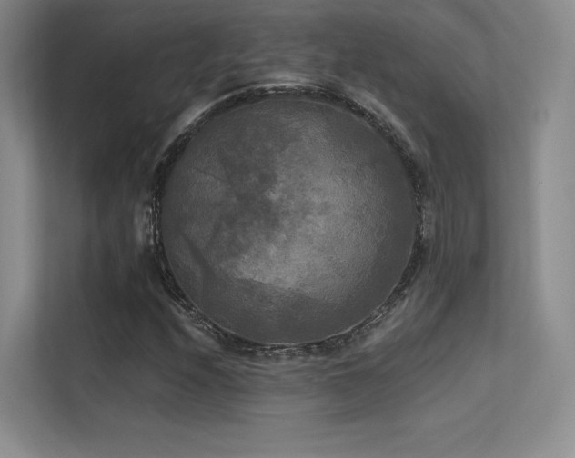 X0000113301208200909141240