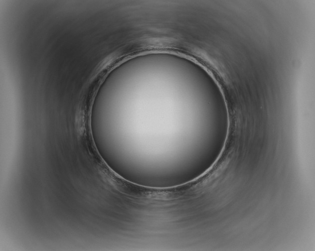 X0000113301211200909141240
