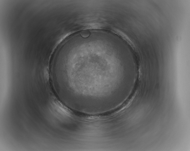 X0000113301212200909141240