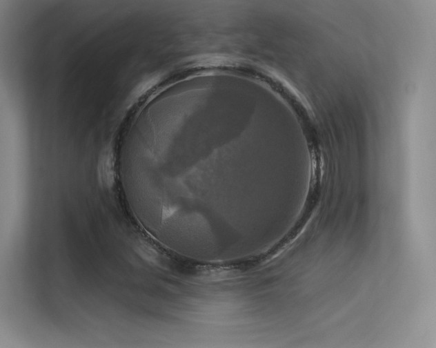 X0000113301213200909141240