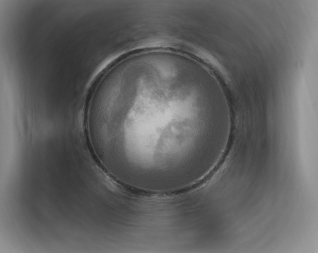 X0000113301216200909141240
