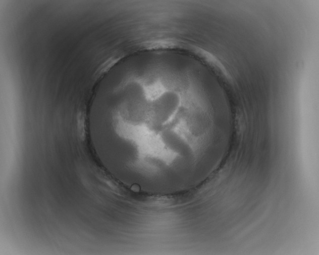 X0000113301217200909141240
