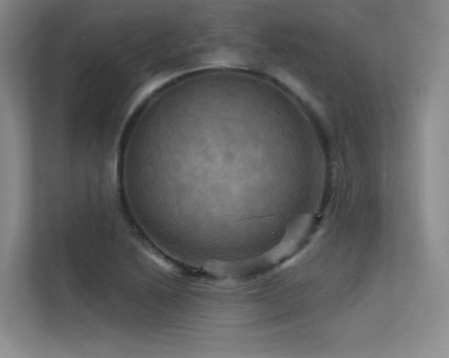 X0000113301222200909141240