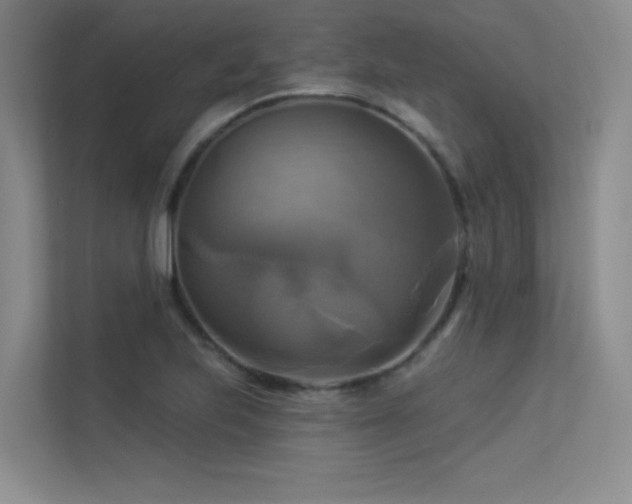 X0000113301223200909141240