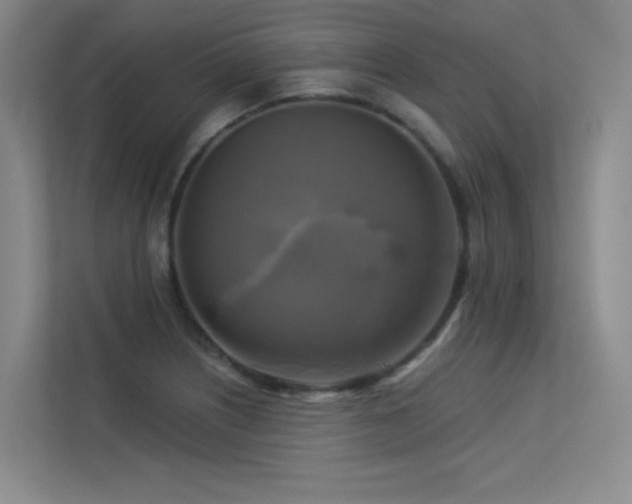 X0000113301226200909141240