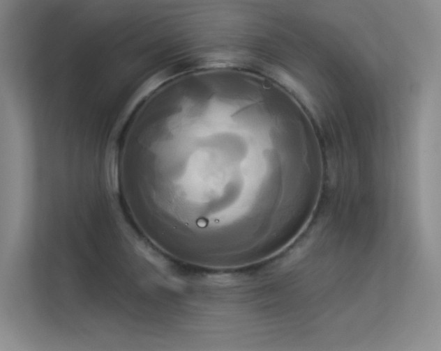 X0000113301227200909141240
