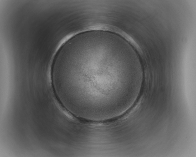 X0000113301230200909141240