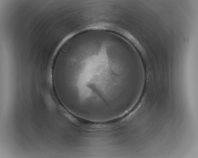X0000113301232200909141240