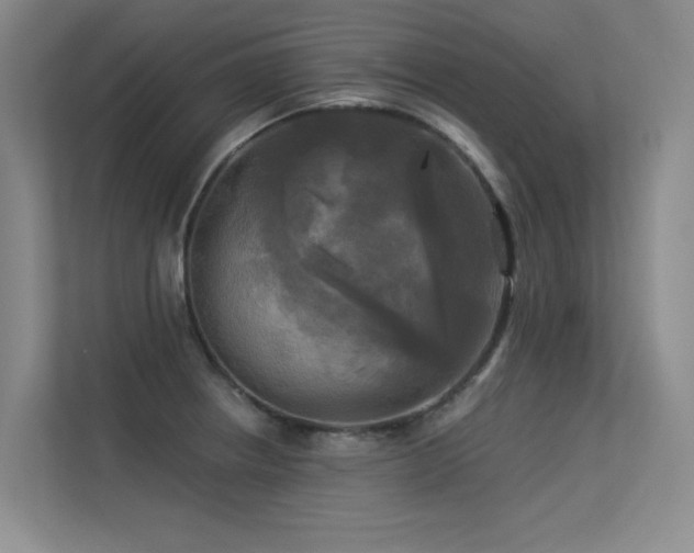 X0000113301234200909141240