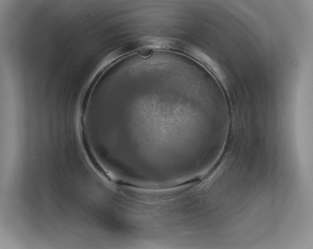 X0000113301235200909141240