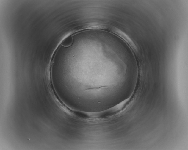 X0000113301236200909141240