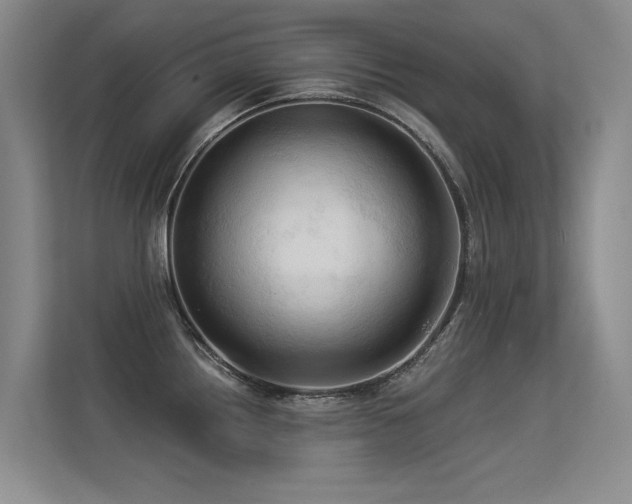 X0000113301242200909141240