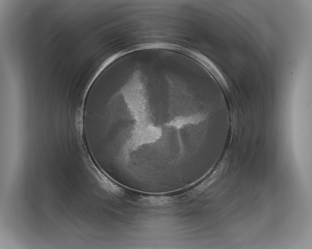 X0000113301244200909141240