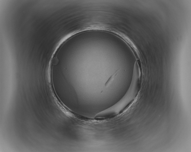 X0000113301246200909141240