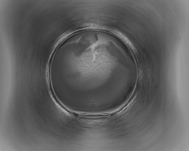 X0000113301247200909141240