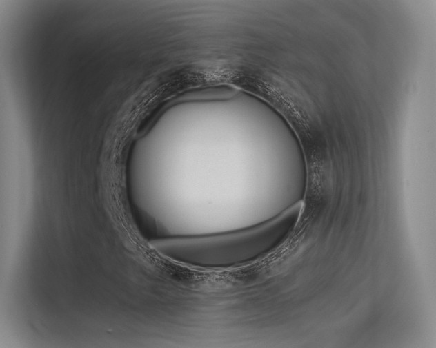 X0000113301249200909141240