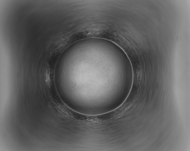 X0000113301250200909141240