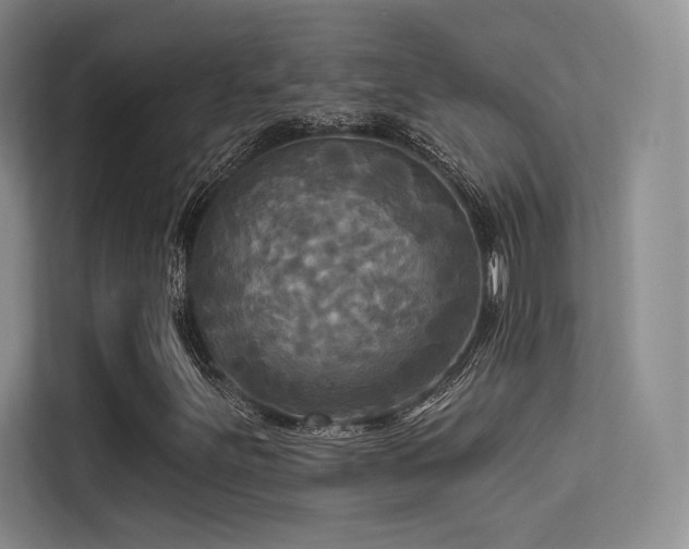 X0000113301251200909141240
