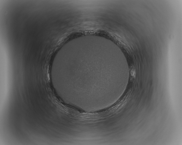 X0000113301252200909141240