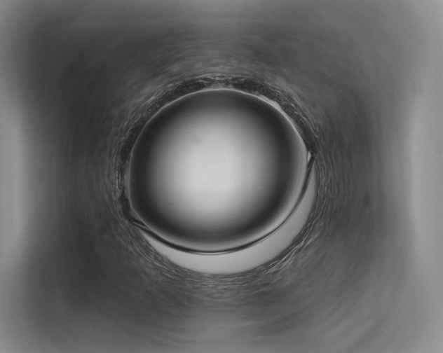X0000113301253200909141240