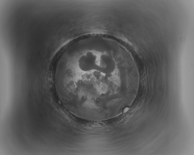X0000113301255200909141240