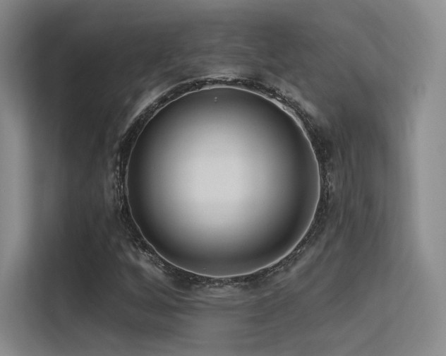 X0000113301256200909141240