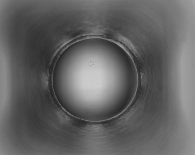 X0000113301260200909141240