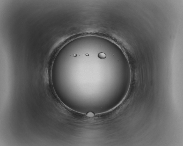 X0000113301262200909141240
