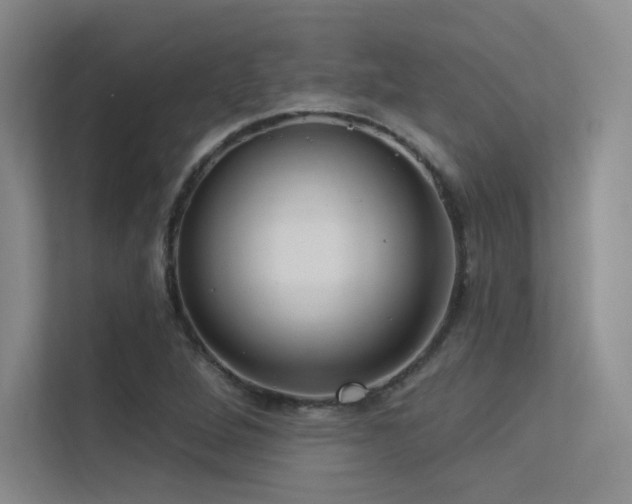 X0000113301264200909141240