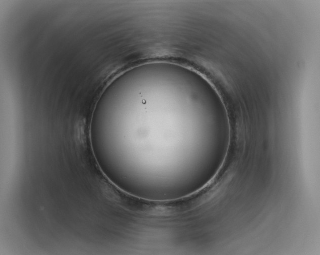 X0000113301265200909141240