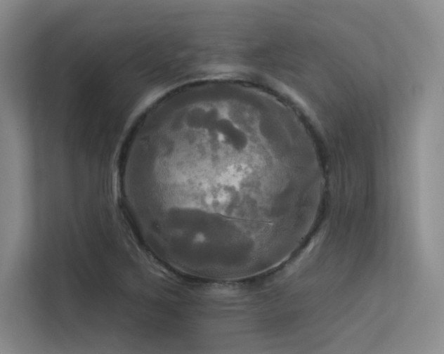 X0000113301267200909141240