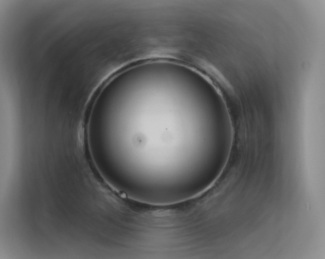 X0000113301268200909141240