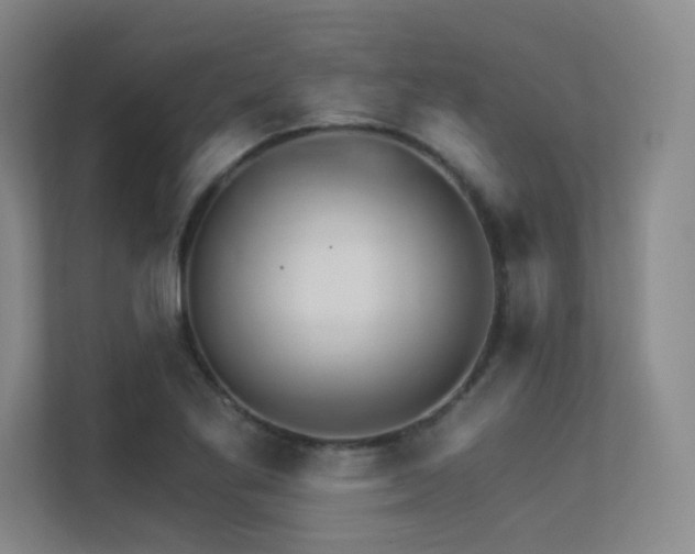 X0000113301269200909141240