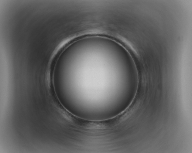 X0000113301270200909141240