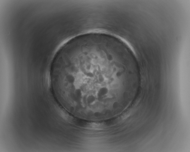 X0000113301271200909141240