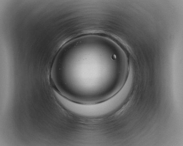 X0000113301273200909141239