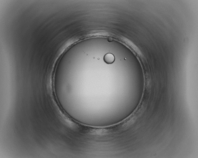 X0000113301282200909141239