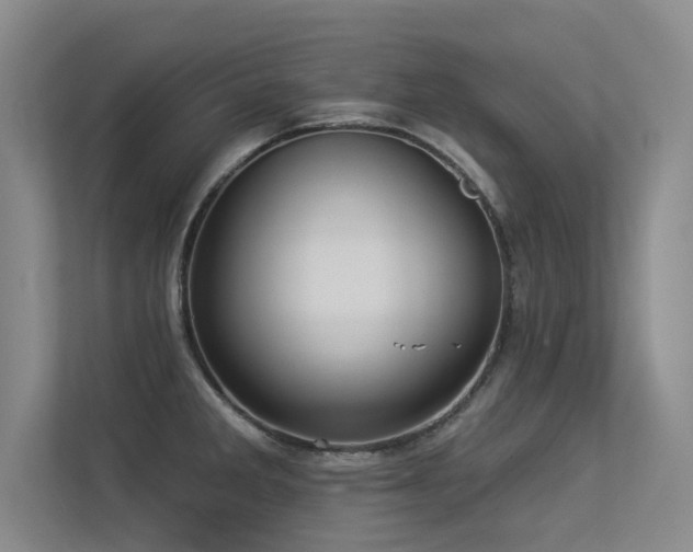 X0000113301285200909141239