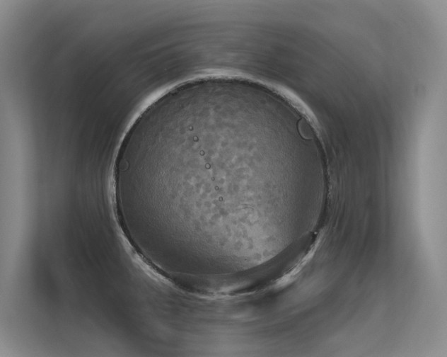 X0000113301287200909141239