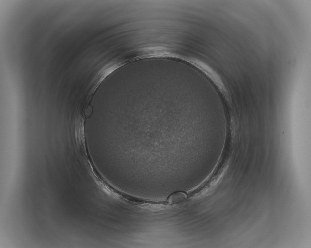 X0000113301289200909141239