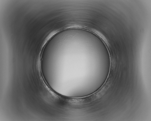 X0000113301290200909141239