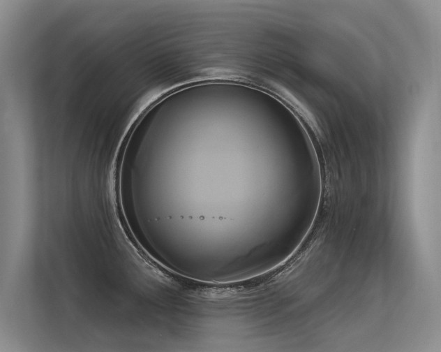 X0000113301291200909141239