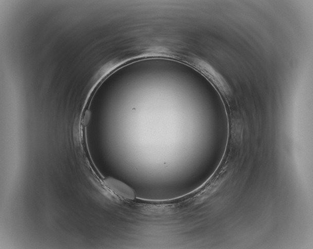 X0000113301292200909141239