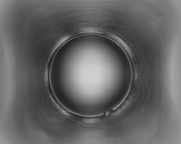 X0000113301293200909141239
